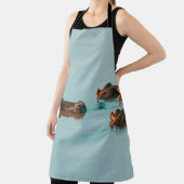 ダムでヒッポスが冷える エプロン (インサイチュ)