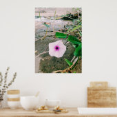 ダムの水ほうれん草の花 ポスター (キッチン)