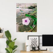 ダムの水ほうれん草の花 ポスター (ホームオフィス)