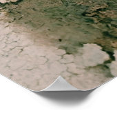 ダムの水ほうれん草の花 ポスター (角)