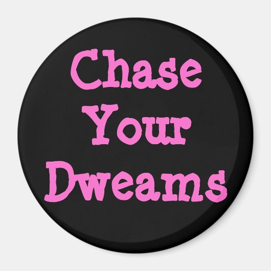 ダムを追う マグネット (正面)