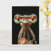 ダムセルフライ誕生日カード カード (黄色い花)