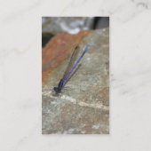 ダムセルフライ・自然写真名刺 名刺 (裏面)