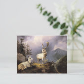 ダムワイルド、フリードリヒ・ゴーマン、1833年 ポストカード (スタンド正面)