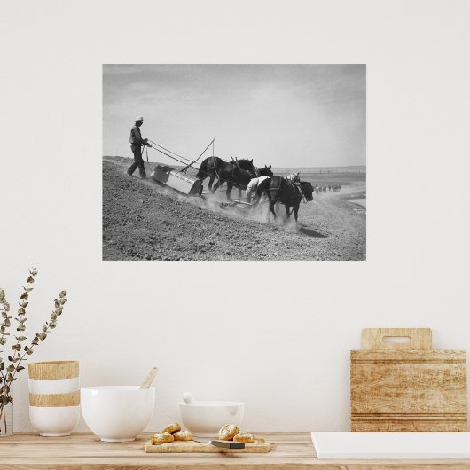 ダム建物: 1936 ポスター (キッチン)