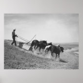 ダム建物: 1936 ポスター (正面)