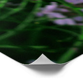 ダメロケットの花 ポスター (角)