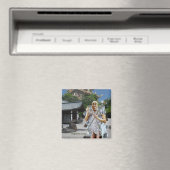 ダライガガ マグネット (インサイチュ (食洗機))