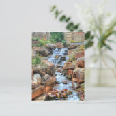 ダラスアルボタントムガーデン ポストカード (スタンド正面)