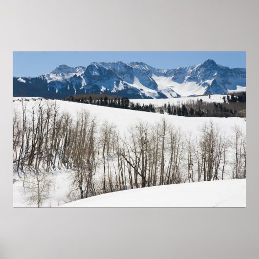 ダラスディバイドの雪 ポスター (正面)