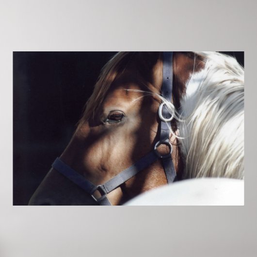 ダラスプリント ポスター (正面)