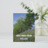 ダラスポストカードからの挨拶 ポストカード (スタンド正面)