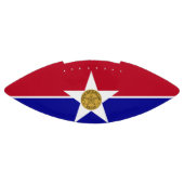 ダラス国旗を持つアメリカンフットボール アメリカンフットボール (パネル)