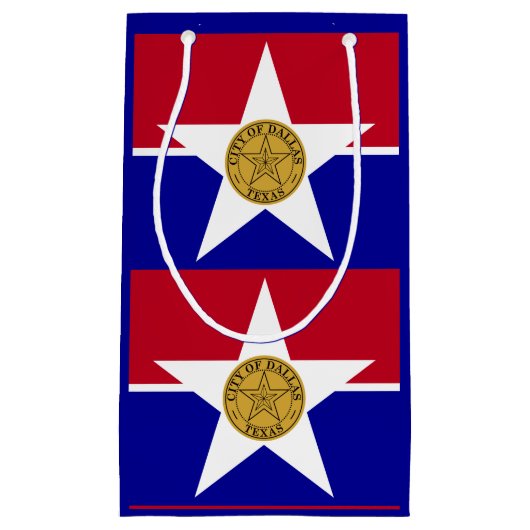 ダラス国旗、テキサス州スモール抱き枕 スモールペーパーバッグ (正面)