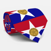 ダラス国旗、テキサス州ネックタイ ネクタイ (ロール)