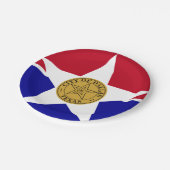 ダラス国旗、テキサス州紙プレート ペーパープレート (アングル)