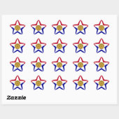 ダラス国旗 星シール (シート)
