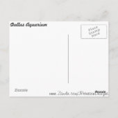 ダラス水族館像2 ポストカード (裏面)