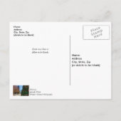 ダラス・クリスマスツリーのそばで ありがとう ポストカード (裏面)