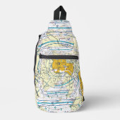 ダラス – フィートフライウェイチャートの価値 スリングバッグ (正面)