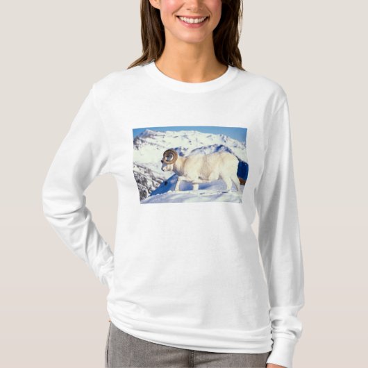 ダラムジカ、Ovis dalli、フルカール雄羊 Tシャツ (正面)