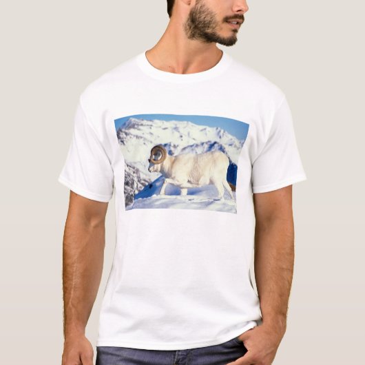ダラムジカ、Ovis dalli、ラム Tシャツ (正面)