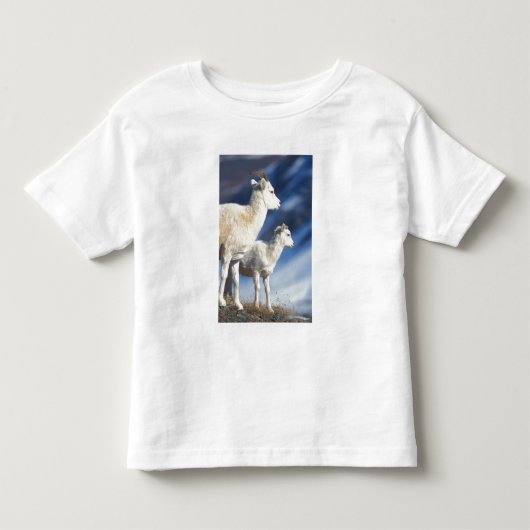 ダラムジカ, Ovis dalli, 雌と子 トドラーTシャツ (正面)