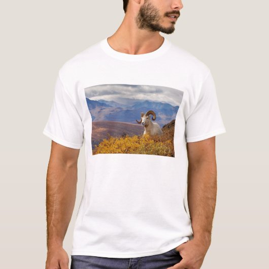 ダラムジカ Tシャツ (正面)