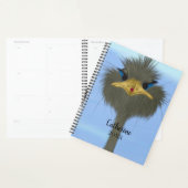 ダリおもしろいッチ・ジョージと可愛いレディバグ プランナー手帳 (ディスプレー)