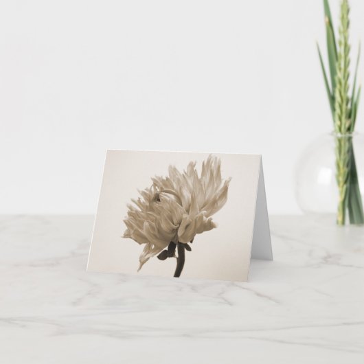 ダリアのセピア色のプリント カード (正面)