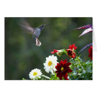 ダリアのハンマー