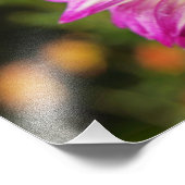 ダリアの写真芸術プリント ダリアの花 フォトプリント            (角)