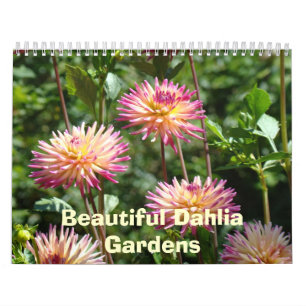 ダリアの庭の美しいカレンダー 写真 フラワー カレンダー