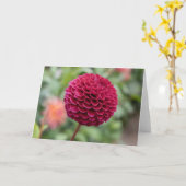 ダリアの暗い赤紫色 カード (黄色い花)