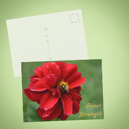 ダリアの花とマルハナバチの写真 ポストカード