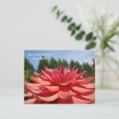 ダリアの花のカスタムポストカード ポストカード (スタンド正面)