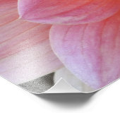 ダリアの花ペア ダリア属 フォトプリント            (角)