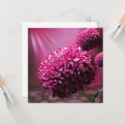 ダリアの花 カード (正面/裏面インサイチュ)