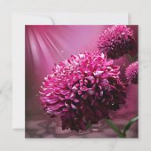 ダリアの花 カード (正面)