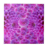 ダリアの花 タイル (正面)