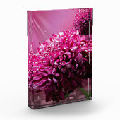 ダリアの花 フォトブロック (左)