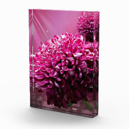 ダリアの花 フォトブロック