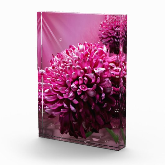 ダリアの花 フォトブロック (右)