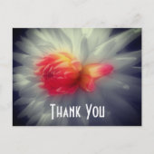 ダリアの花　部分カラー　ありがとう ポストカード (正面)