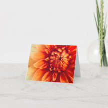 ダリアの花（隠し絵）