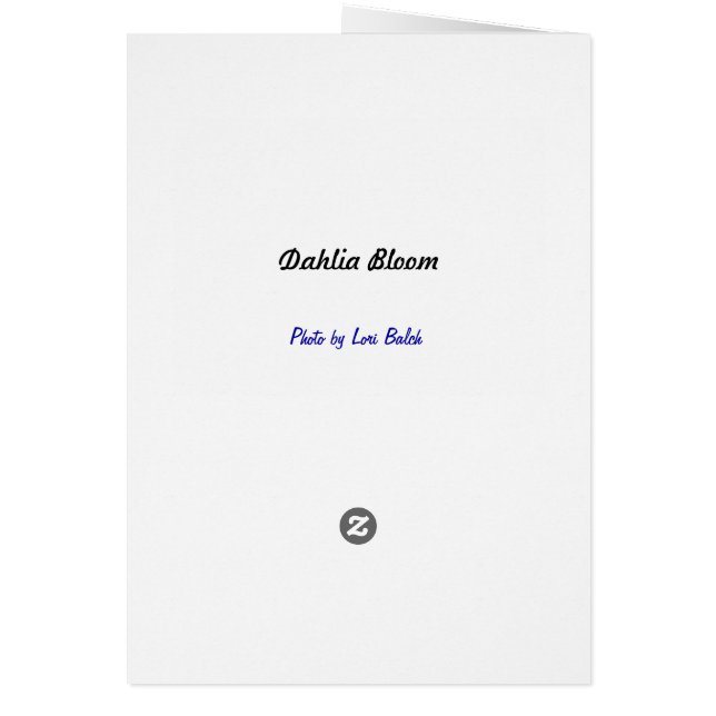 ダリアの開花 (裏面)