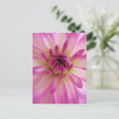 ダリアはがき ポストカード (スタンド正面)