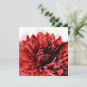 ダリアはっきりしたウォーターカラークリムゾン (スタンド正面)