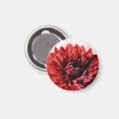 ダリアはっきりしたウォーターカラークリムゾン マグネット (正面/裏面)