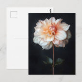 ダリアイン開花ボタニカル絵を描ズ ポストカード (正面/裏面)